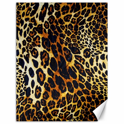 Leopard Skin Texture, Macro, Brown Canvas 18  x 24  from ArtsNow.com 17.8 x23.08  Canvas - 1