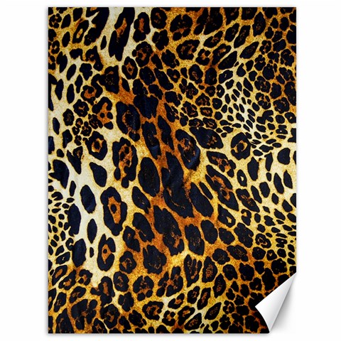 Leopard Skin Texture, Macro, Brown Canvas 36  x 48  from ArtsNow.com 35.26 x46.15  Canvas - 1