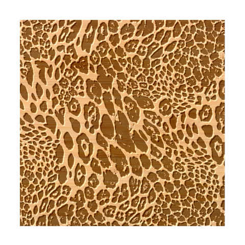 Leopard Skin Texture, Macro, Brown Bamboo Coaster Set from ArtsNow.com Coaster 2