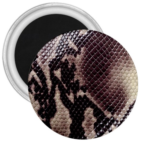 Snake Skin, Reptile Skin, Snake Skin Textures, Brown Snake 3  Magnets from ArtsNow.com Front