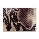 Snake Skin, Reptile Skin, Snake Skin Textures, Brown Snake Sticker A4 (10 pack)