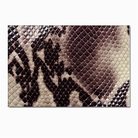 Snake Skin, Reptile Skin, Snake Skin Textures, Brown Snake Postcards 5  x 7  (Pkg of 10) from ArtsNow.com Front