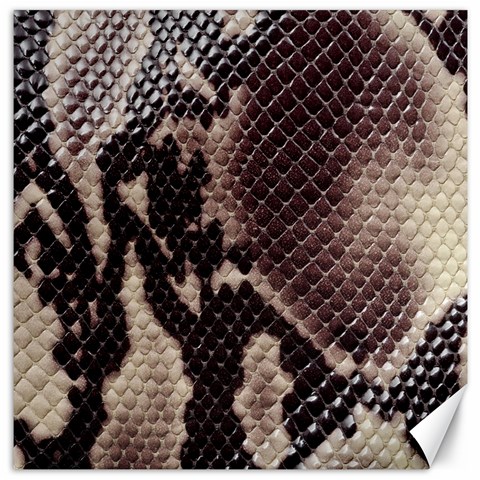 Snake Skin, Reptile Skin, Snake Skin Textures, Brown Snake Canvas 12  x 12  from ArtsNow.com 11.4 x11.56  Canvas - 1