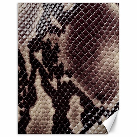 Snake Skin, Reptile Skin, Snake Skin Textures, Brown Snake Canvas 12  x 16  from ArtsNow.com 11.86 x15.41  Canvas - 1