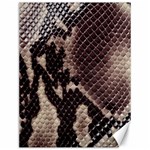 Snake Skin, Reptile Skin, Snake Skin Textures, Brown Snake Canvas 12  x 16 