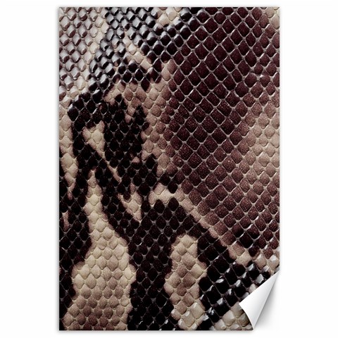 Snake Skin, Reptile Skin, Snake Skin Textures, Brown Snake Canvas 12  x 18  from ArtsNow.com 11.88 x17.36  Canvas - 1