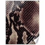 Snake Skin, Reptile Skin, Snake Skin Textures, Brown Snake Canvas 18  x 24 