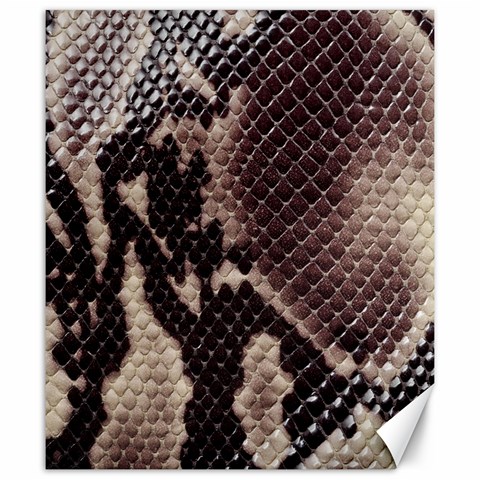 Snake Skin, Reptile Skin, Snake Skin Textures, Brown Snake Canvas 20  x 24  from ArtsNow.com 19.57 x23.15  Canvas - 1