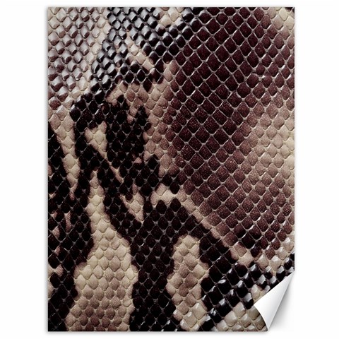 Snake Skin, Reptile Skin, Snake Skin Textures, Brown Snake Canvas 36  x 48  from ArtsNow.com 35.26 x46.15  Canvas - 1