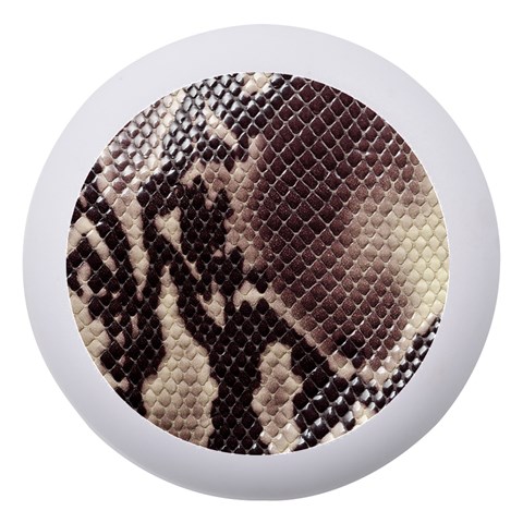 Snake Skin, Reptile Skin, Snake Skin Textures, Brown Snake Dento Box with Mirror from ArtsNow.com Front