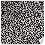 Zebra Skin, Vector Textures, White Black Background Canvas 12  x 12 