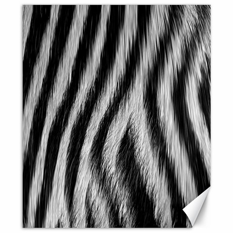 Zebra Texture, Zebra Wool, White Black Background Canvas 8  x 10  from ArtsNow.com 8.15 x9.66  Canvas - 1