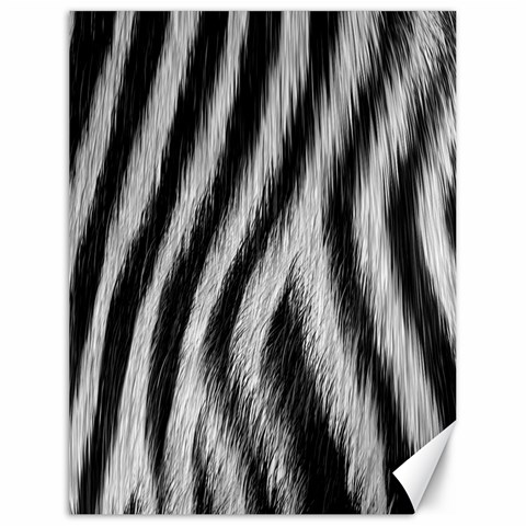 Zebra Texture, Zebra Wool, White Black Background Canvas 18  x 24  from ArtsNow.com 17.8 x23.08  Canvas - 1