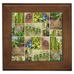 Garden Sanctuary Photo Collage Print Framed Tile