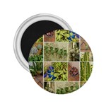 Garden Sanctuary Photo Collage Print 2.25  Magnets