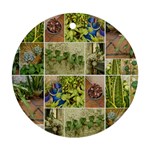 Garden Sanctuary Photo Collage Print Ornament (Round)