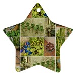 Garden Sanctuary Photo Collage Print Ornament (Star)