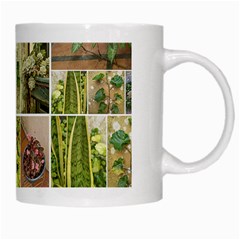 Garden Sanctuary Photo Collage Print White Mug from ArtsNow.com Right