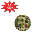 Garden Sanctuary Photo Collage Print 1  Mini Buttons (10 pack) 