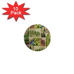 Garden Sanctuary Photo Collage Print 1  Mini Magnet (10 pack) 