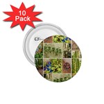 Garden Sanctuary Photo Collage Print 1.75  Buttons (10 pack)