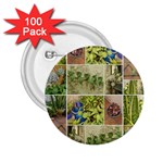 Garden Sanctuary Photo Collage Print 2.25  Buttons (100 pack) 