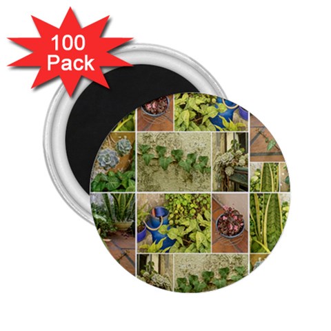 Garden Sanctuary Photo Collage Print 2.25  Magnets (100 pack)  from ArtsNow.com Front