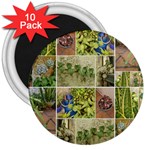 Garden Sanctuary Photo Collage Print 3  Magnets (10 pack) 