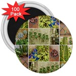 Garden Sanctuary Photo Collage Print 3  Magnets (100 pack)