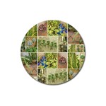 Garden Sanctuary Photo Collage Print Magnet 3  (Round)