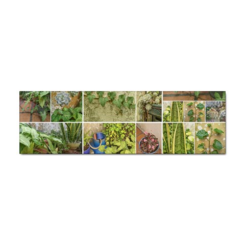 Garden Sanctuary Photo Collage Print Sticker Bumper (10 pack) from ArtsNow.com Front