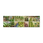 Garden Sanctuary Photo Collage Print Sticker Bumper (10 pack)