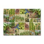 Garden Sanctuary Photo Collage Print Sticker A4 (10 pack)