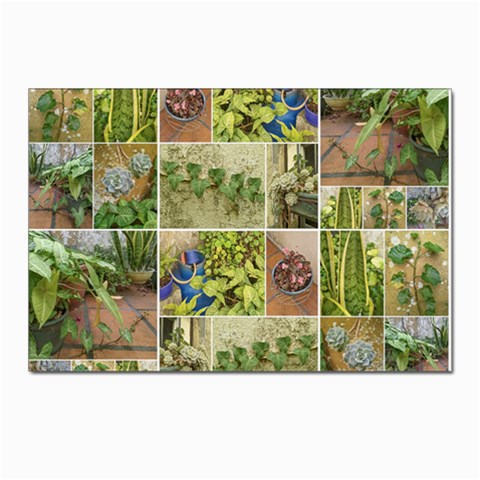 Garden Sanctuary Photo Collage Print Postcard 4 x 6  (Pkg of 10) from ArtsNow.com Front