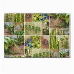 Garden Sanctuary Photo Collage Print Postcard 4 x 6  (Pkg of 10)