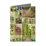 Garden Sanctuary Photo Collage Print Mini Greeting Card