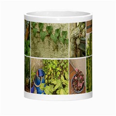 Garden Sanctuary Photo Collage Print Morph Mug from ArtsNow.com Center