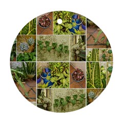 Garden Sanctuary Photo Collage Print Round Ornament (Two Sides) from ArtsNow.com Back