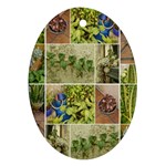 Garden Sanctuary Photo Collage Print Oval Ornament (Two Sides)