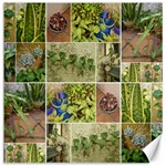 Garden Sanctuary Photo Collage Print Canvas 12  x 12 