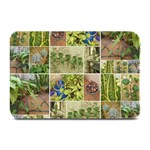 Garden Sanctuary Photo Collage Print Plate Mats