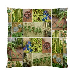 Garden Sanctuary Photo Collage Print Standard Cushion Case (Two Sides) from ArtsNow.com Front