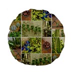 Garden Sanctuary Photo Collage Print Standard 15  Premium Round Cushions