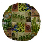 Garden Sanctuary Photo Collage Print Large 18  Premium Round Cushions