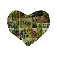 Garden Sanctuary Photo Collage Print Standard 16  Premium Heart Shape Cushions from ArtsNow.com Back