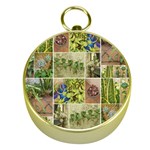 Garden Sanctuary Photo Collage Print Gold Compasses