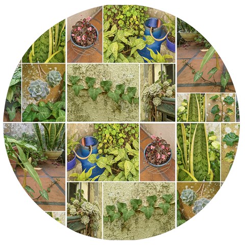 Garden Sanctuary Photo Collage Print Wooden Bottle Opener (Round) from ArtsNow.com Front