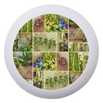 Garden Sanctuary Photo Collage Print Dento Box with Mirror