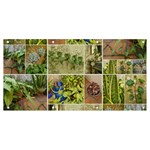 Garden Sanctuary Photo Collage Print Banner and Sign 8  x 4 