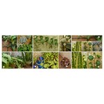 Garden Sanctuary Photo Collage Print Banner and Sign 9  x 3 